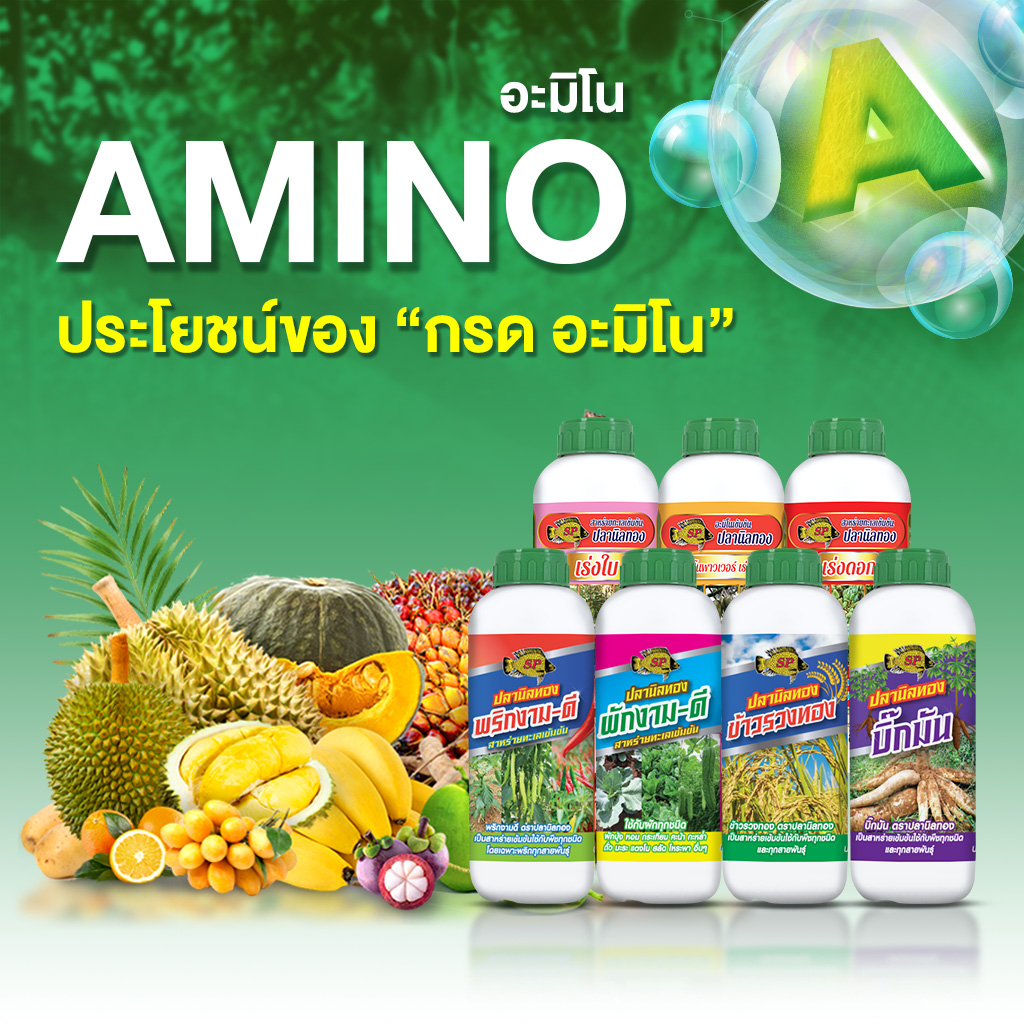 ประโยชน์ของอะมิโน