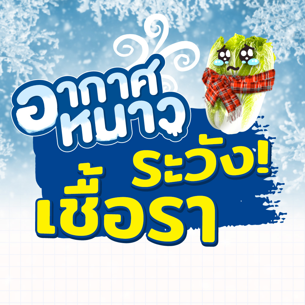 เชื้อราในฤดูหนาว