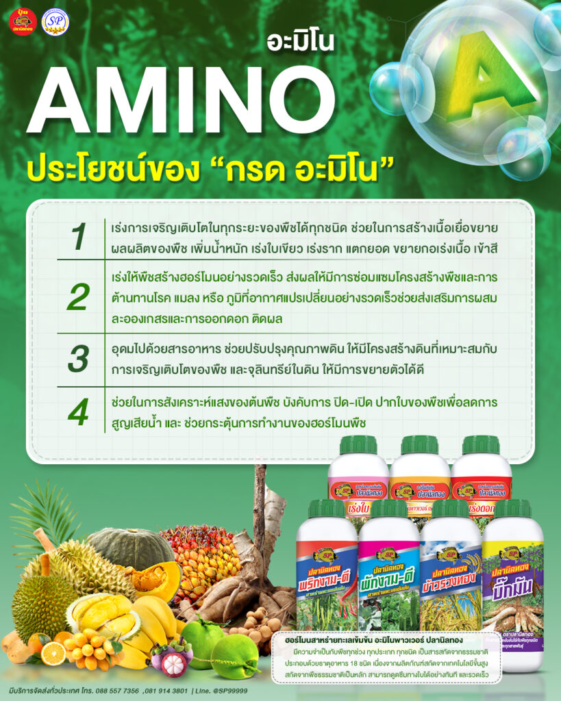 ประโยชน์ของกรดอะมิโน