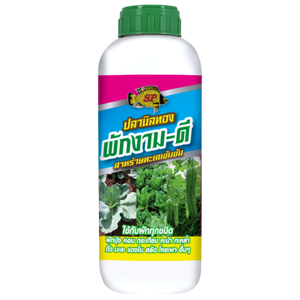 ฮอร์โมนสาหร่ายทะเล ผักงาม-ดี