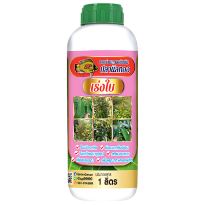 ฮอร์โมนสาหร่ายทะเล เร่งใบ